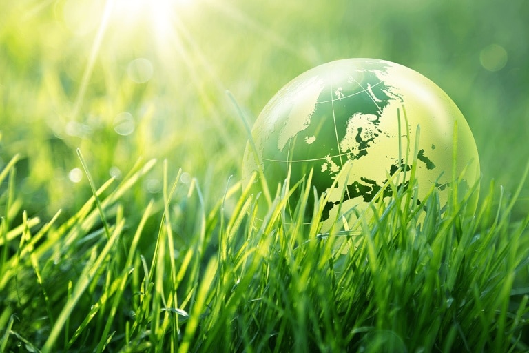 Quel secteur choisir pour garantir la rentabilité d’un placement écologique ?