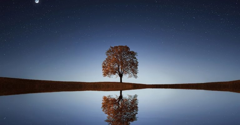 Qu&rsquo;est-ce que le cloud computing et comment peut-il bénéficier à votre entreprise ?