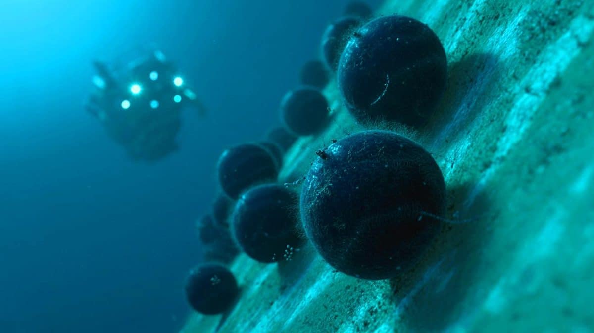 « Un indice pour la vie extraterrestre » : des cocons de vers plats trouvés à 6 200 m inspirent la recherche sur les lunes glacées Illustration de la découverte de cocons de vers plats à 6 200 mètres de profondeur sous l'océan Pacifique.