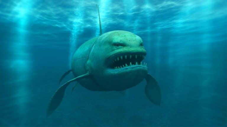 « Des créatures géantes découvertes à 10 000 mètres sous la mer » : une expédition chinoise bouleverse la science des abysses